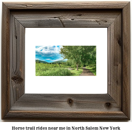 horse trail rides near me in North Salem, New York